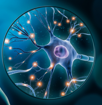 Neuro Habits & Cognitive Mastery